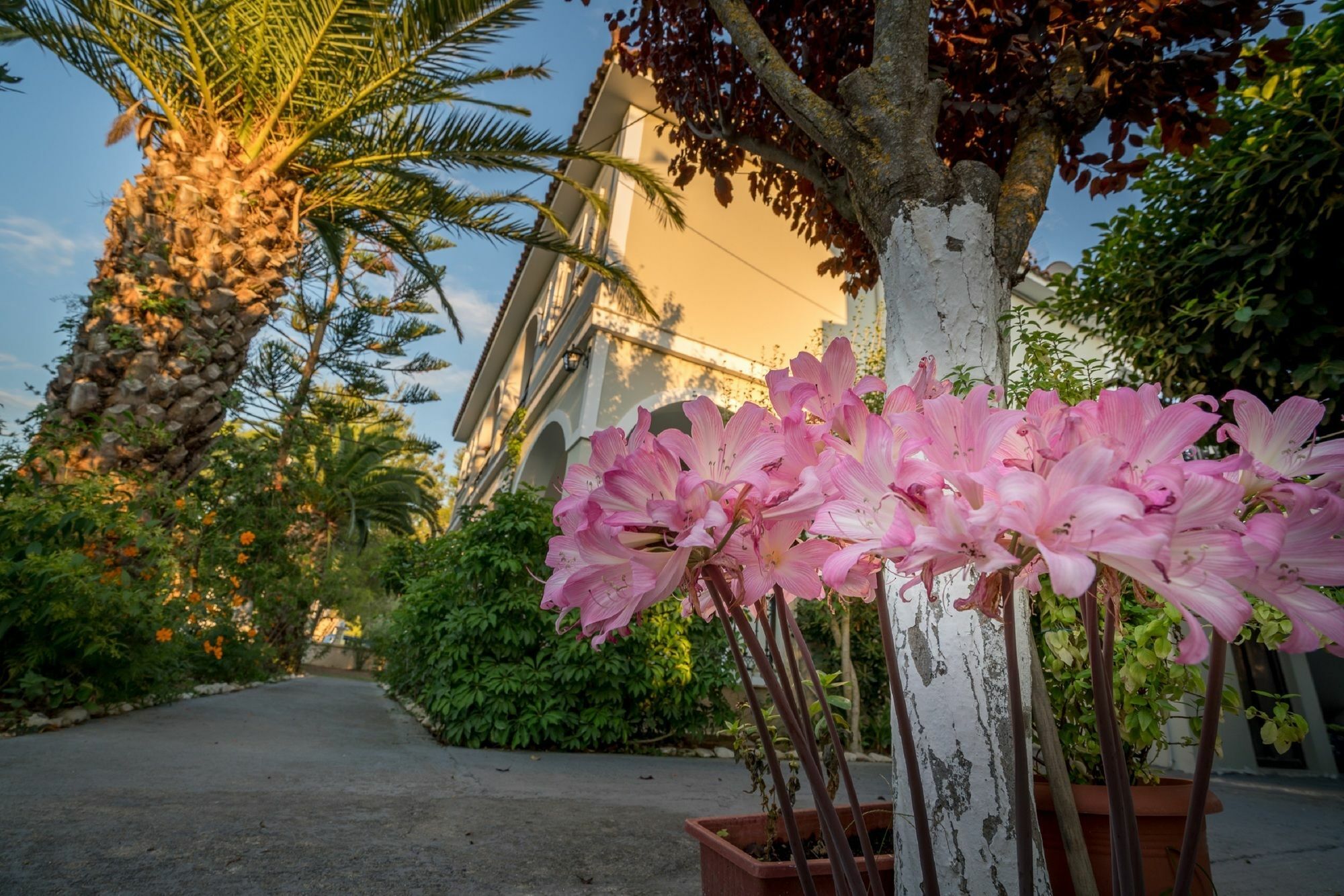 Tota Studios Tsilivi  Luaran gambar